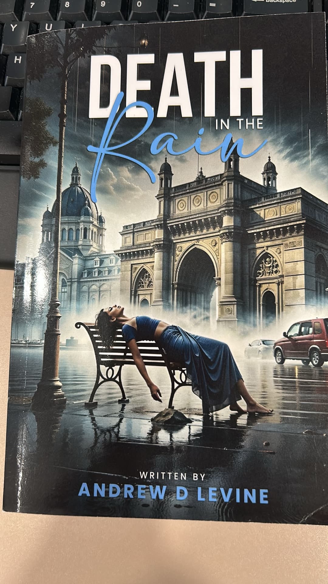 Death in the Rain by Andrew D Levine, book cover on IndieFiction