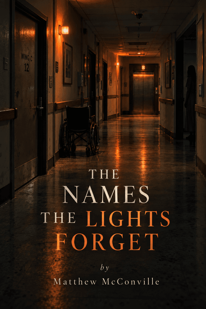 The Names the Lights forget by Matthew McConville, Horror book cover on IndieFiction