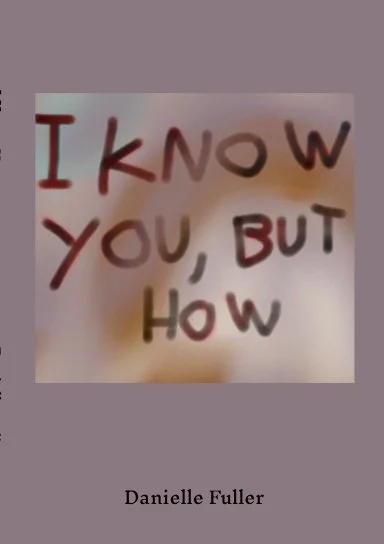 I Know You, But How by Danielle Fuller — Literary Fiction book cover on IndieFiction